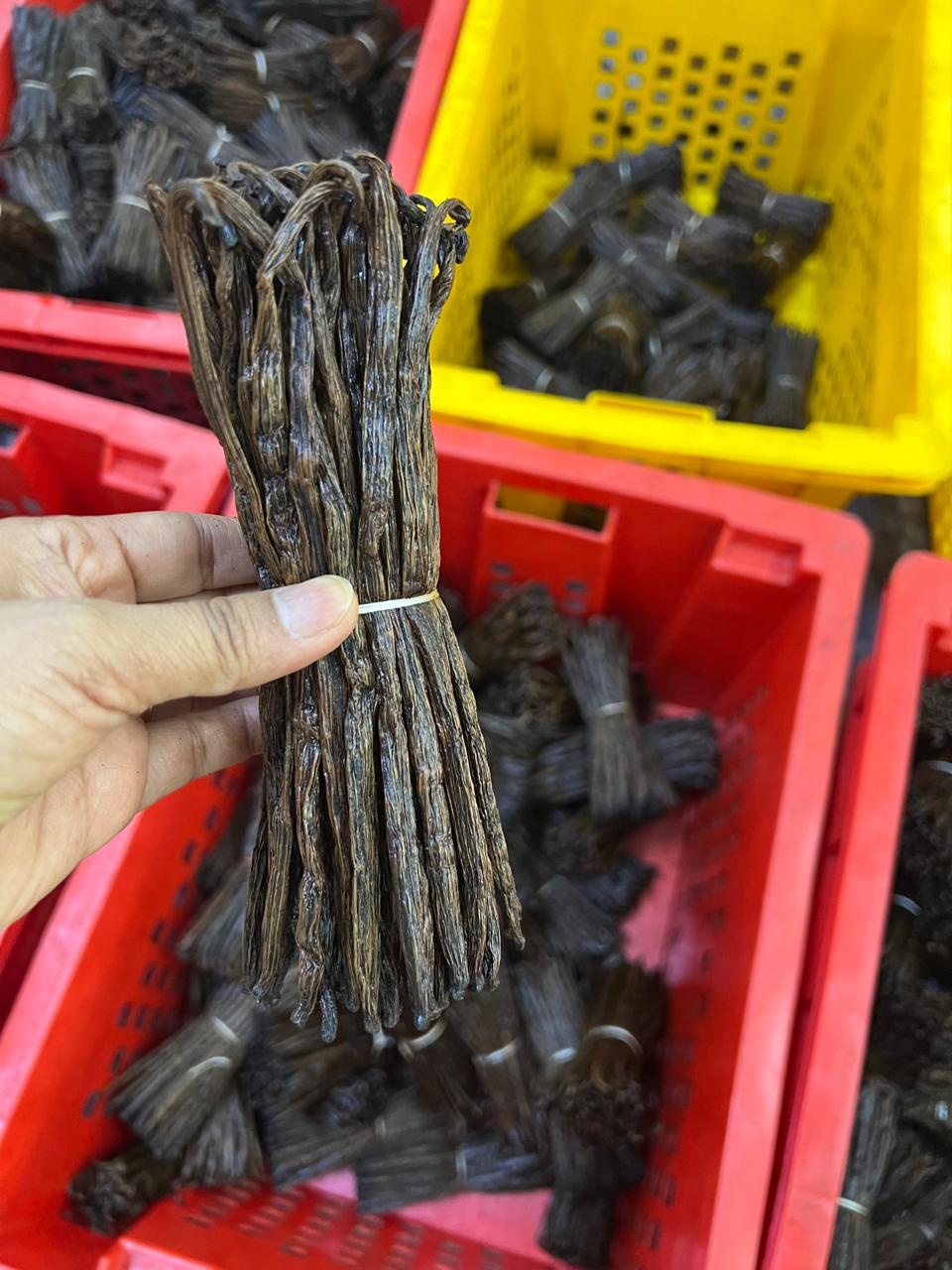 Bottes de vanille prêtes au conditionnement