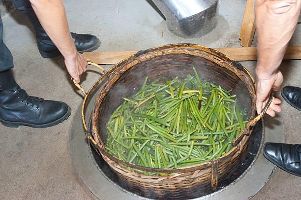 Étape d'échaudage des gousses de vanille
