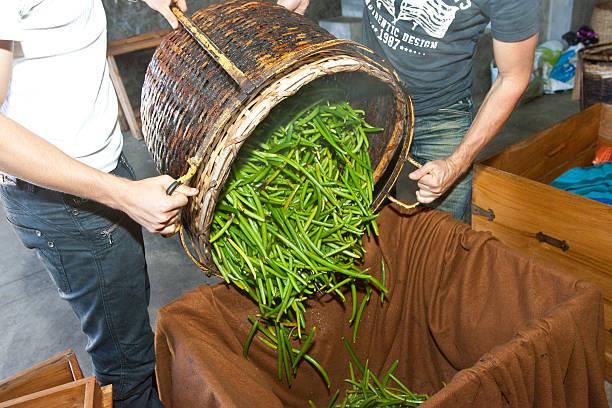 Mise en caisse après échaudage