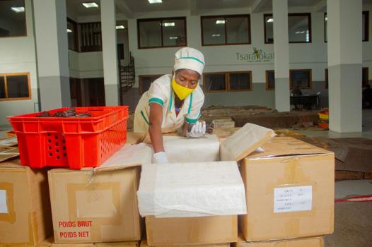 Export lot packing