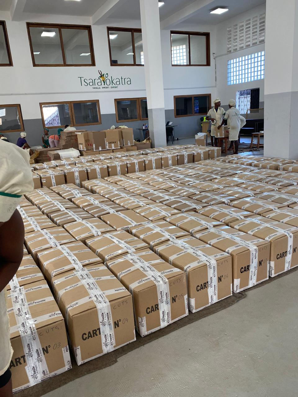 Packing vanilla into cartons for export