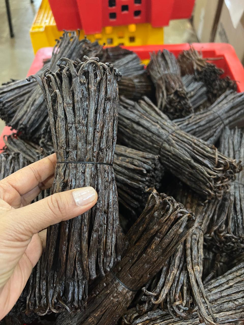 Sorted prepared vanilla bundles